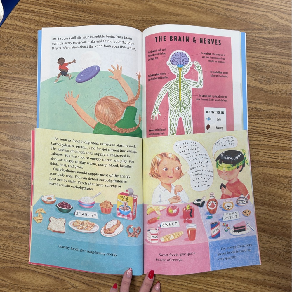 Kids Picture Book Collection - Picture 4 of 13